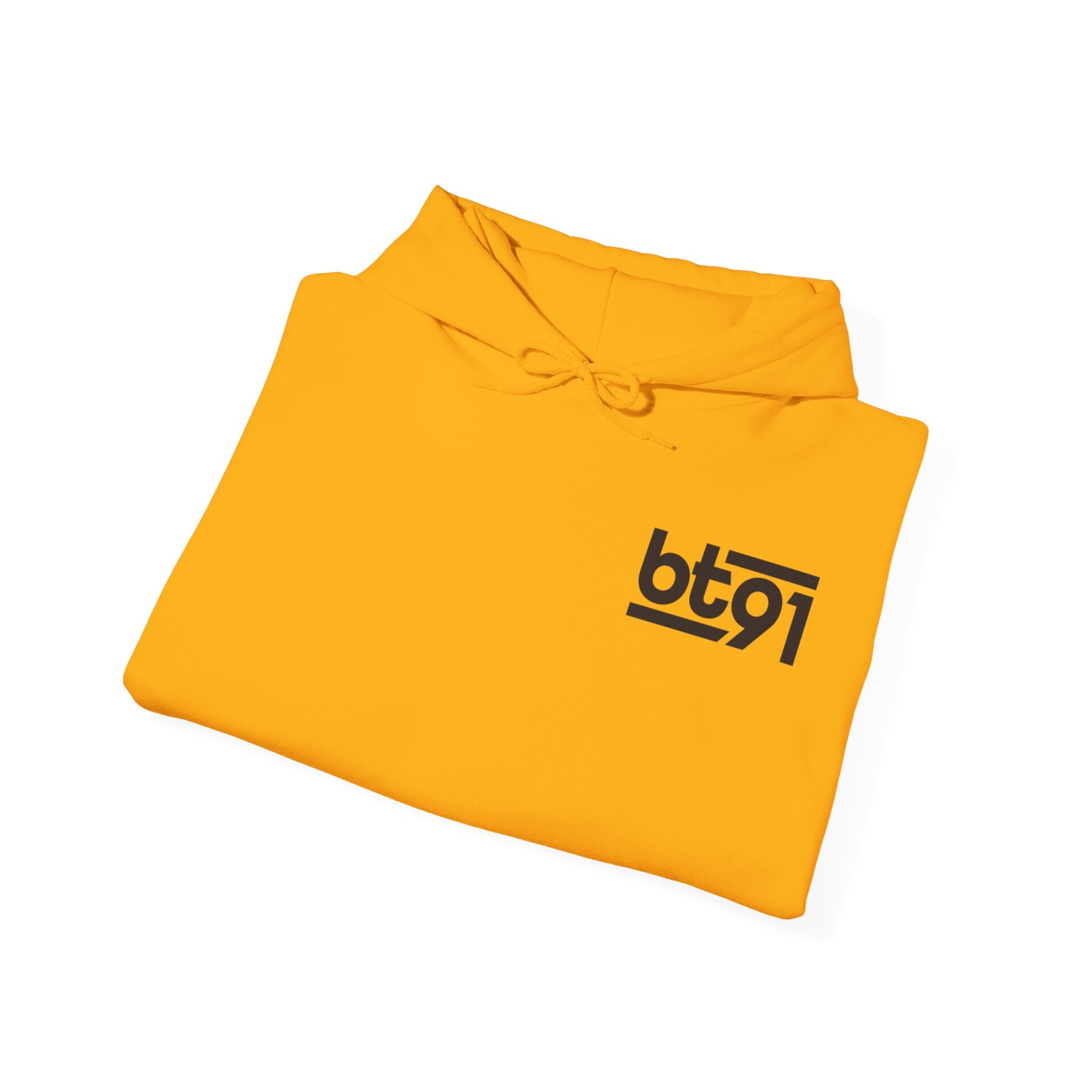 BT91 Logo (Black) Hoodie - Image 6